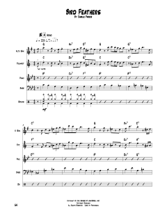 Bird Feathers (Download) 