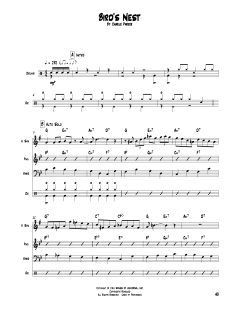 Bird's Nest (Download) 