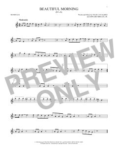 (It's A) Beautiful Morning (Download) 