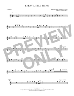 Every Little Thing (Download) 