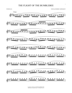 The Flight Of The Bumble Bee (Download) 