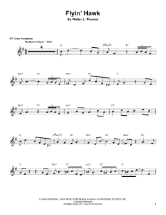 Flyin' Hawk (Download) 