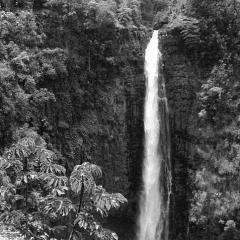 Akaka Falls von Helen Parker (Download) 