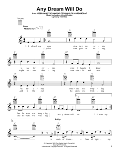 Any Dream Will Do von Andrew Lloyd Webber (Download) 