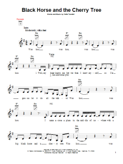 Black Horse And The Cherry Tree von KT Tunstall (Download) 