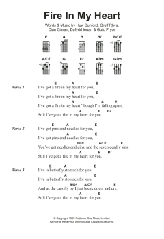 Fire In My Heart von Super Furry Animals (Download) 