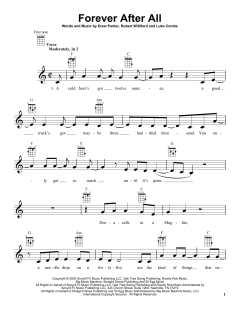 Forever After All von Luke Combs (Download) 