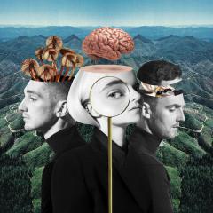 I Miss You von Clean Bandit (Download) 