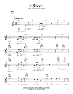 In Bloom von Nirvana (Download) 