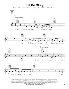 It'll Be Okay von Shawn Mendes (Download) 