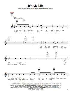 It's My Life von Bon Jovi (Download) 