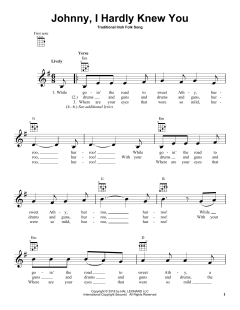 Johnny, I Hardly Knew You von Traditional Irish Folk Song (Download) 