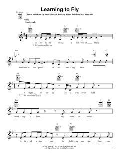 Learning To Fly (Download) 