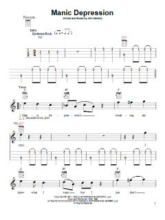 Manic Depression (Download) 