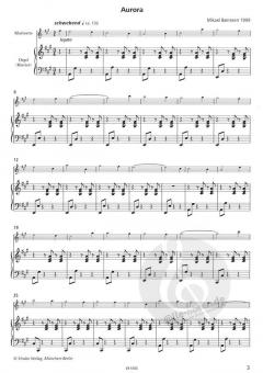 Nordische Reflexionen 