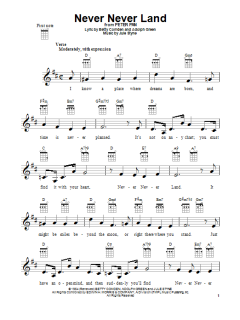 Never Never Land (Download) 