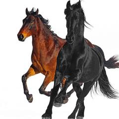 Old Town Road (Download) 
