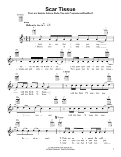 Scar Tissue (Download) 