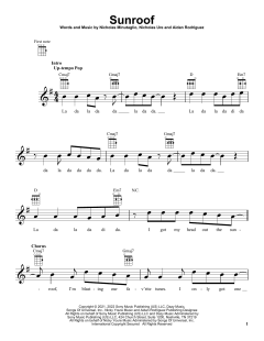 Sunroof (Download) 