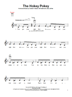 The Hokey Pokey (Download) 