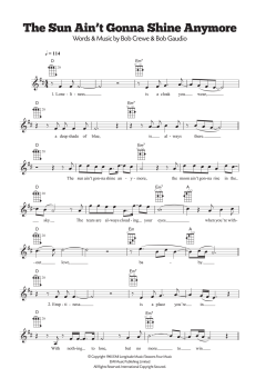 The Sun Ain't Gonna Shine Anymore (Download) 