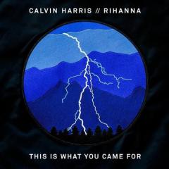 This Is What You Came For (Download) 