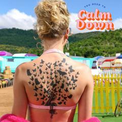 You Need To Calm Down (Download) 