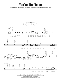 You're The Voice (Download) 
