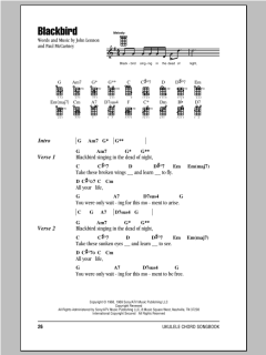 Blackbird (Download) 