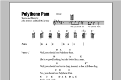 Polythene Pam (Download) 