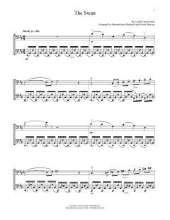 The Swan von Mr. & Mrs. Cello (Download) 