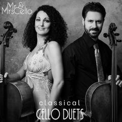The Swan von Mr. & Mrs. Cello (Download) 
