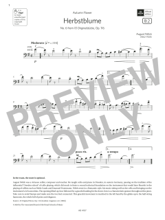 Herbstblume von August Nölck (Download) 