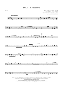 I Gotta Feeling von Jaime Gomez (Download) 