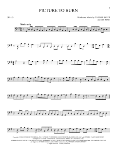 Picture To Burn von Taylor Swift (Download) 