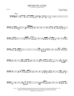 Separate Lives von Stephen Bishop (Download) 