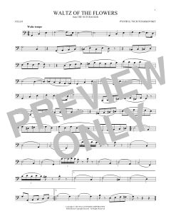 Waltz Of The Flowers von Pyotr Il'yich Tchaikovsky (Download) 