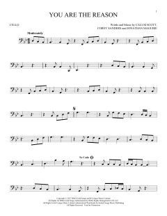 You Are The Reason von Calum Scott (Download) 