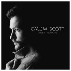 You Are The Reason von Calum Scott (Download) 