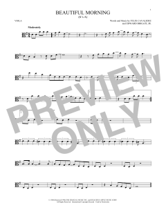 (It's A) Beautiful Morning von The Rascals (Download) 