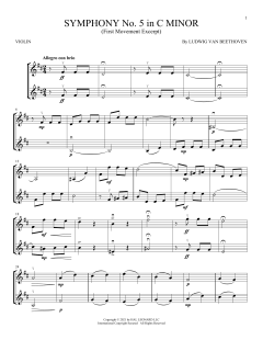 Symphony No. 5 In C Minor, First Movement Excerpt von Ludwig van Beethoven (Download) 