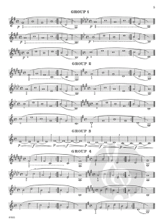 27 Groups of Exercises von Earl D. Irons 
