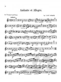 9 Grand Solos De Concert von Georges Hüe 