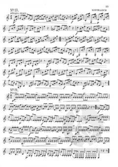 335 Selected Studies, Book 1 von Max Pottag 