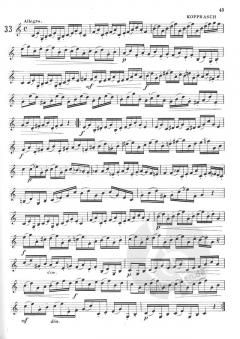 335 Selected Studies, Book 1 von Max Pottag 