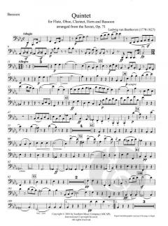 22 Woodwind Quintets für Holzbläser Quintett (Einzelstimme) im Alle Noten Shop kaufen