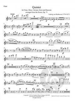 22 Woodwind Quintets für Holzbläser Quintett (Einzelstimme) im Alle Noten Shop kaufen - SMC-B208FL