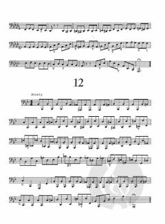 20 Etudes For Bass Trombone von Lew Gillis 