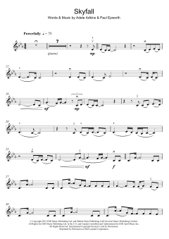 Skyfall von Adele (Download) 