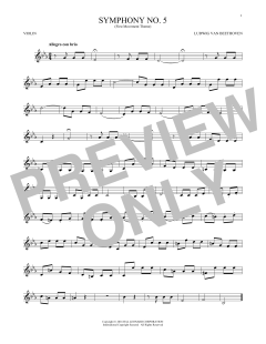 Symphony No. 5 In C Minor, First Movement Excerpt von Ludwig van Beethoven (Download) 